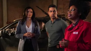 Námořní vyšetřovací služba XX (18)