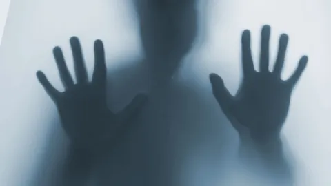 Konspirační teorie (11)