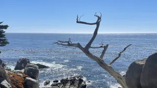 Kalifornská cesta podél Pacifiku