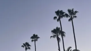 Kalifornská cesta podél Pacifiku