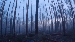 Ukrajina: Nepřítel v lesích