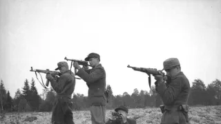 Lesní bratři: Bojovníci proti Sovětskému svazu