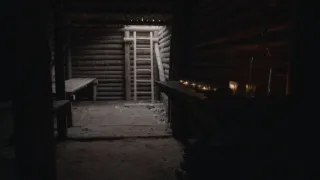 Lesní bratři: Bojovníci proti Sovětskému svazu