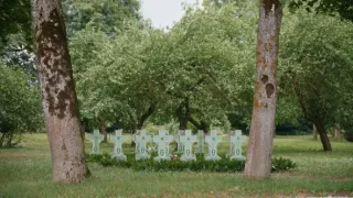 Lesní bratři: Bojovníci proti Sovětskému svazu