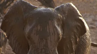 Na cestě po severní Namibii