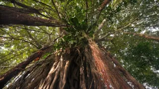 Divoká a svobodná Kolumbie (1/2)