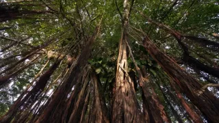 Divoká a svobodná Kolumbie (1/2)