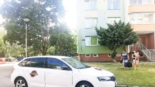 Výměna manželek XII