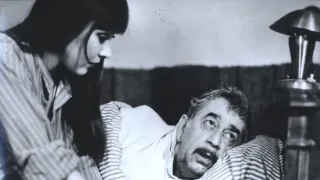 Návštěvníci (15/15)