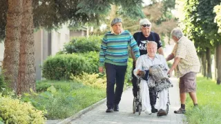 Stáří není pro sraby