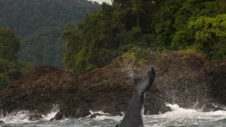 Divoká a svobodná Kolumbie (2/2)