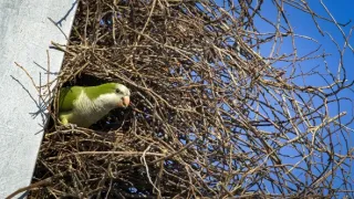 Skrytá příroda Miami