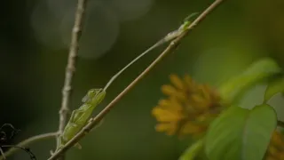 Skrytá příroda Miami