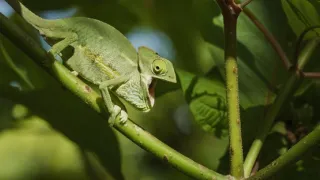 Skrytá příroda Miami