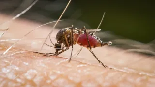 Skrytá příroda Miami