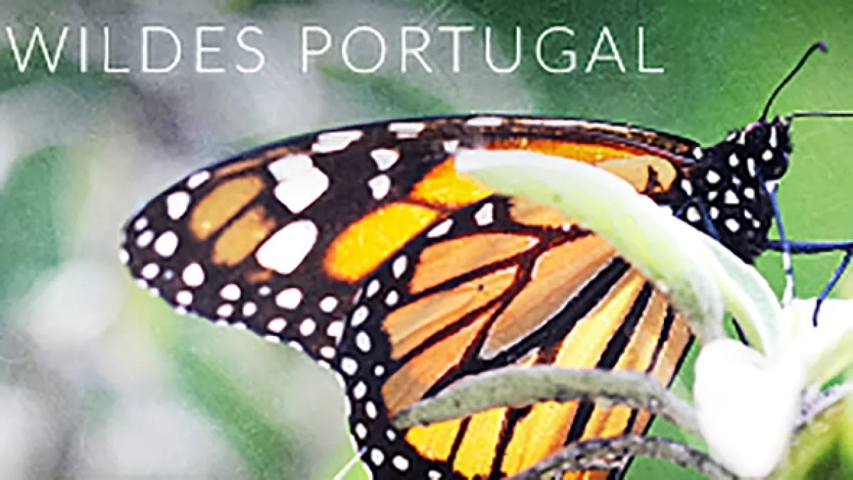 Divoké Portugalsko, 2023 - fotogaléria