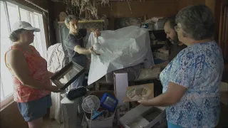 Američtí sběratelé XVII (15)