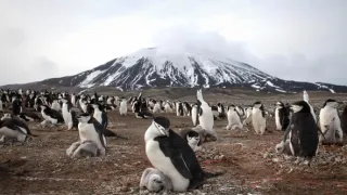 Zázračná planeta II (1)