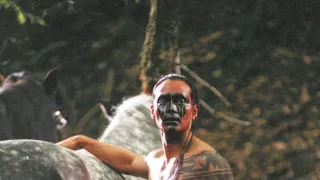 Bratrstvo vlků - Hon na bestii