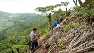 Ostrov Svatá Helena, bašta biodiverzity