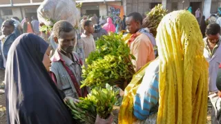 Na cestě po Hararsku