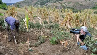 Na cestě po Hararsku