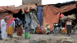 Na cestě po Hararsku