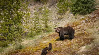 Zázračná planeta II (2)