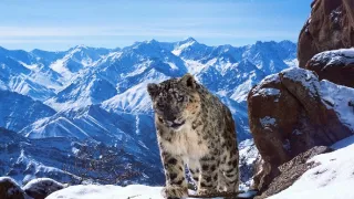 Zázračná planeta II (2)