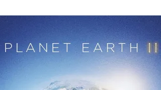 Zázračná planeta II (2)