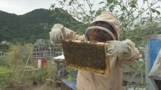 Tajemství uhlíku (3/3)