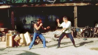 Osamělý vlk McQuade