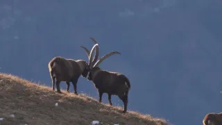 Arlberg: Divoký a světoznámý