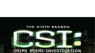 Kriminálka Las Vegas IX (8)