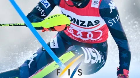 FIS Svetový pohár obrovský slalom ženy