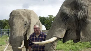 Hannibal: Římské tažení