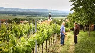 Místo zločinu Zlín (10/12)