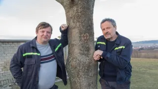 Kdyby radši hořelo