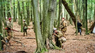 Dunaj, k vašim službám XIII (14)