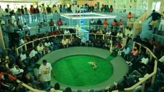 Na cestě po Amerických Panenských ostrovech