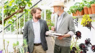 Rosamunde Pilcher: Bouřlivá rána, šťastné konce