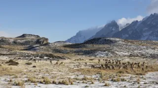 Puma - legenda z pohoří And