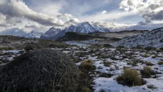 Puma - legenda z pohoří And
