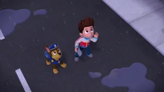 Tlapková patrola III