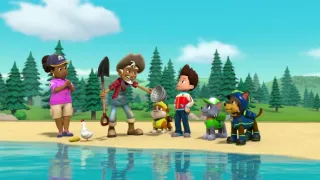 Tlapková patrola III