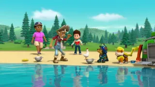 Tlapková patrola III