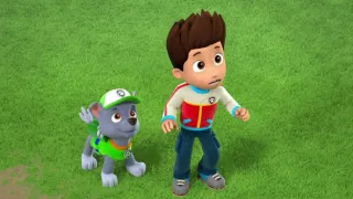 Tlapková patrola III