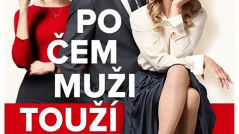 Po čem muži touží