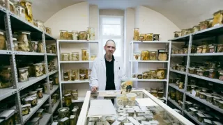 Dějiny chirurgie: Tajemství lidského těla (2/2)