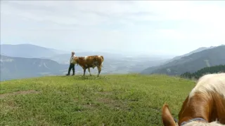 Půvab rakouských hor II.: Cesta po Karavankách